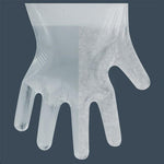 15 Box Disposable PE Gloves Single Box 100 Pieces / Box