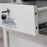 Thickened Double Section Fingerprint Password Lock Security Cabinet File Cabinet White Cabinet