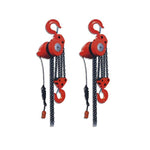 10T * 6m 750w Electric Hoist * 1 Set