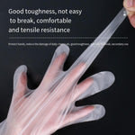 6 Bags Disposable TPE Gloves Large Thickened Long Frosted Antiskid Food Grade Baking Kitchen Gloves 100 Pieces