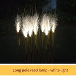 LED Optical Fiber Reed Lamp Simulation Lawn Landscape Lamp Outdoor Courtyard Lighting Project Luminous Plant Electricity Payment White Light