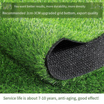 2cm Densified Thickened Autumn Simulated Lawn Mat Fake Grass Green Planting Green Artificial Plastic Turf Carpet Grass