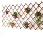 Original Sound In-situ Grid Flower Rack Indoor Living Room Wall Hanging Decoration Rack Balcony Wall Green Pineapple Plant Rack Carbonization Anti-corrosion Climbing Rattan Rack H66 Thickened 206 * 48