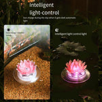 Colorful Color Changing Waterproof Solar Water Floating Lamp Pool Swimming Pool Fish Pool Floating Decorative Lamp New Rural Villa Courtyard Household